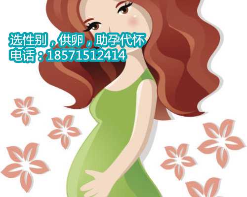 北京试管婴儿医院试管婴儿治疗流程 北京正规试管代孕中介